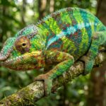 découvrez le covering caméléon, une technique innovante aux reflets changeants qui transforme l'apparence et fascine par son effet unique et dynamique.